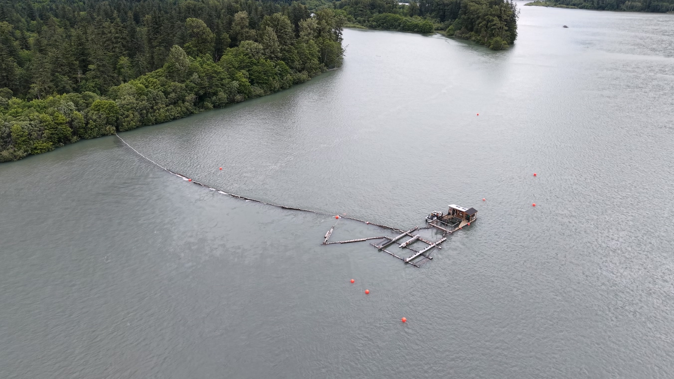 Aerial view of a floating SalmonVision monitoring installation and guiding fences in the Skeena River near a forested bank.